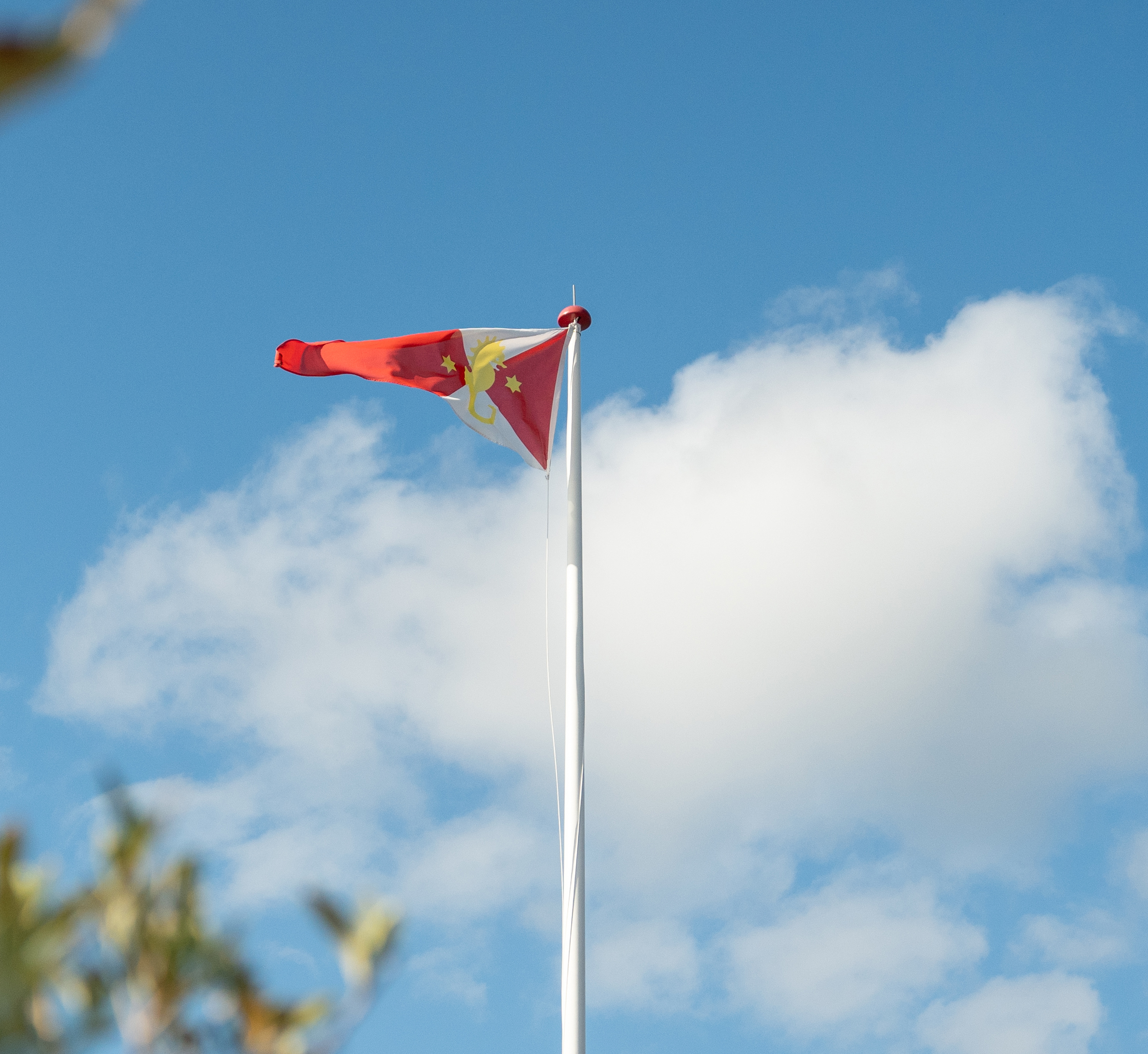 Standerhejsning lørdag den 25. april kl. 12.00